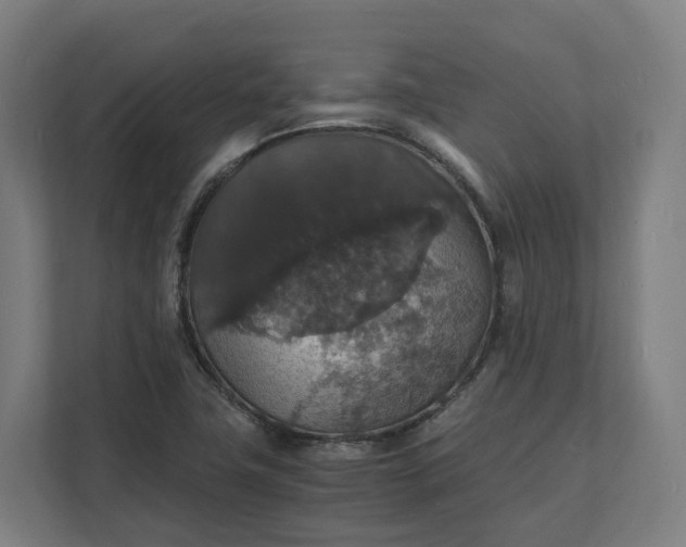 X0000112151411200908211404