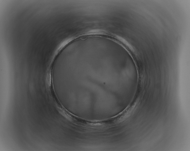 X0000112151413200908211404