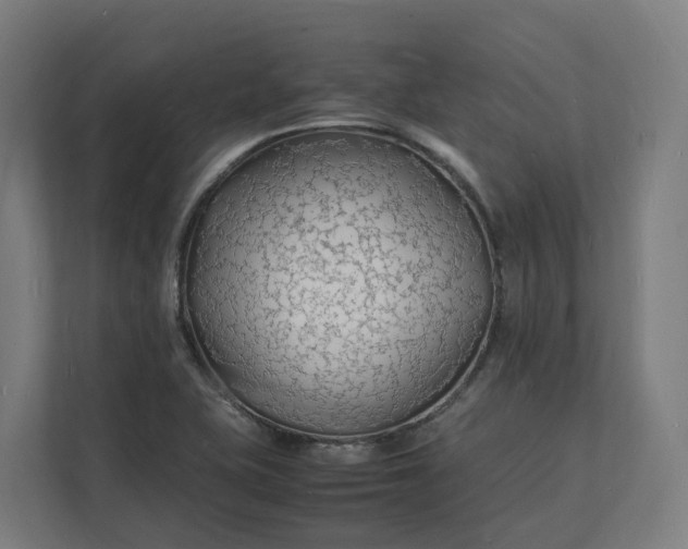 X0000112151415200908211404