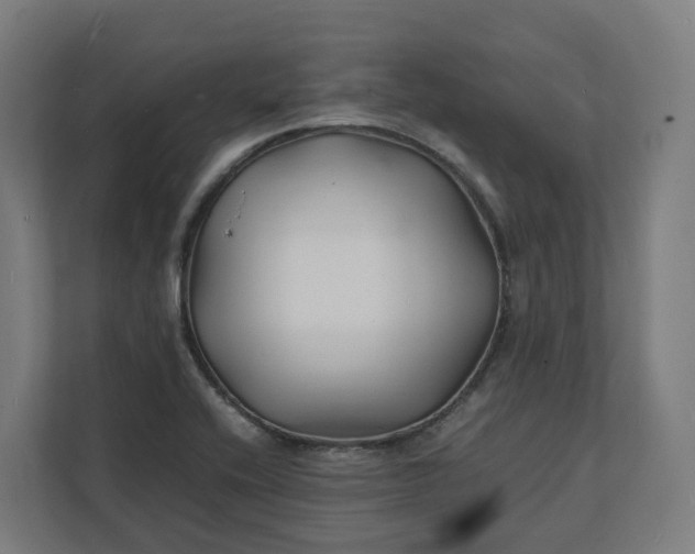 X0000112151416200908211404