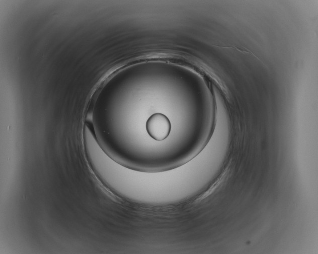 X0000112151417200908211404