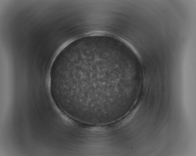 X0000112151418200908211404