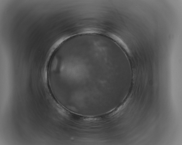 X0000112151419200908211404
