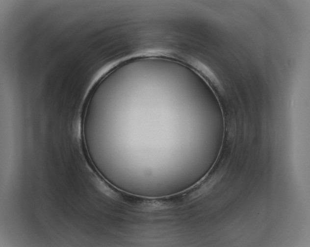 X0000112151420200908211404