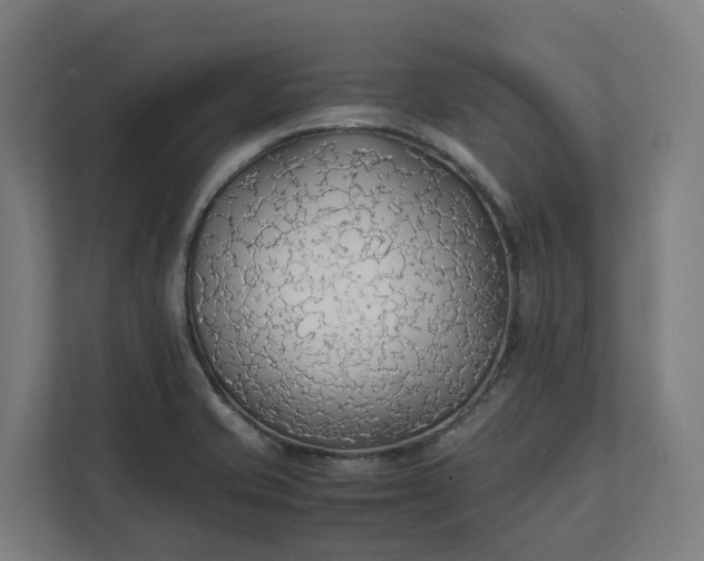 X0000112151421200908211404
