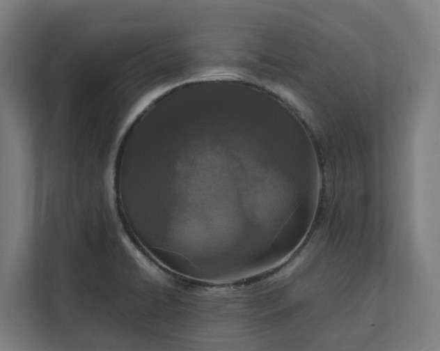 X0000112151422200908211404