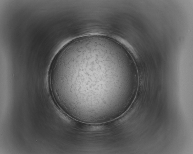 X0000112151423200908211404