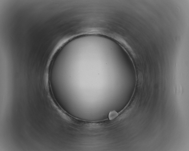 X0000112151424200908211404