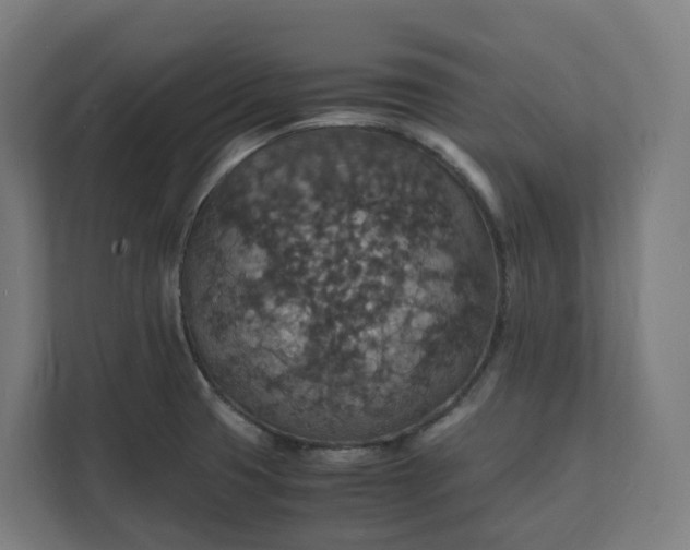 X0000112151425200908211404