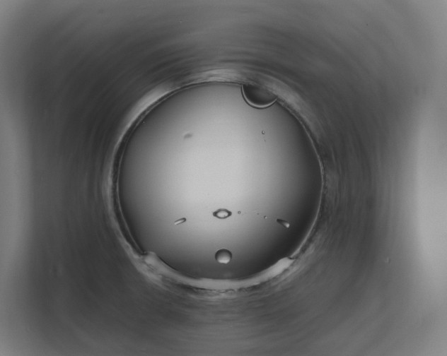 X0000112151426200908211404