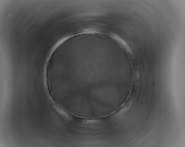 X0000112151427200908211404