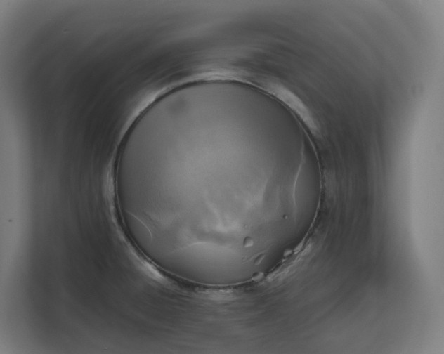X0000112151428200908211404