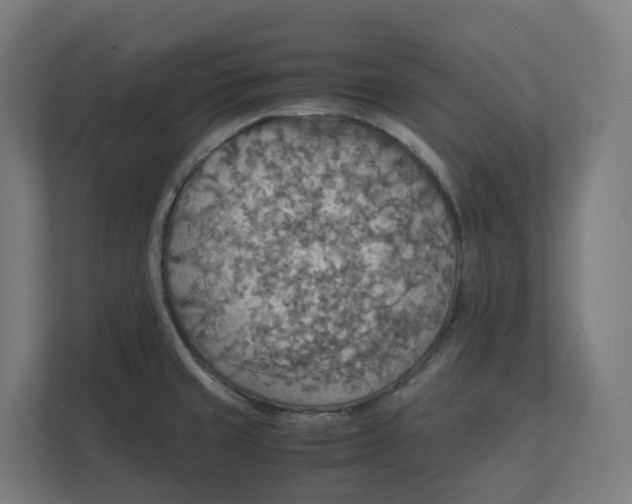 X0000112151429200908211404