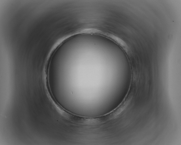X0000112151430200908211404