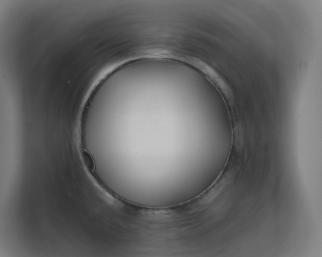 X0000112151432200908211404
