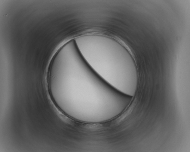 X0000112151434200908211404