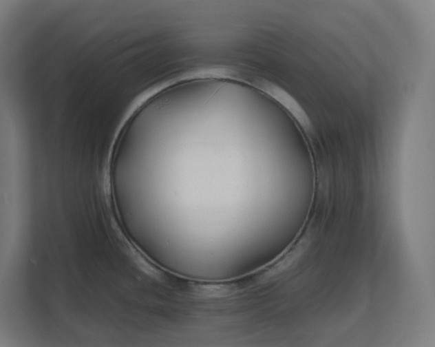 X0000112151436200908211404