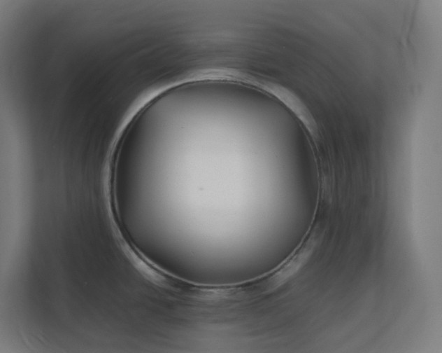 X0000112151438200908211405