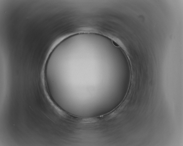 X0000112151440200908211405