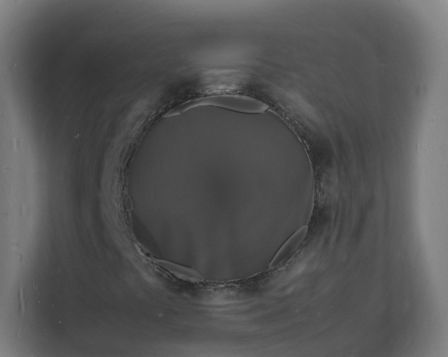 X0000112151441200908211404