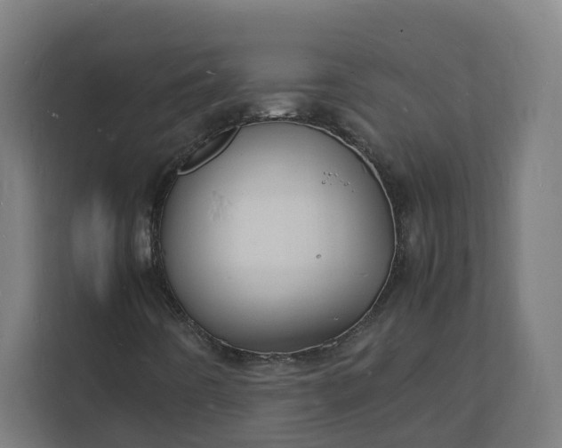 X0000112151442200908211404