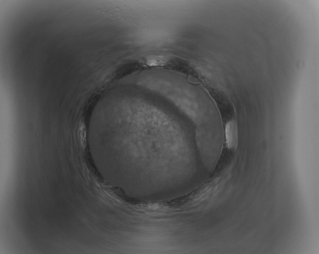 X0000112151443200908211404