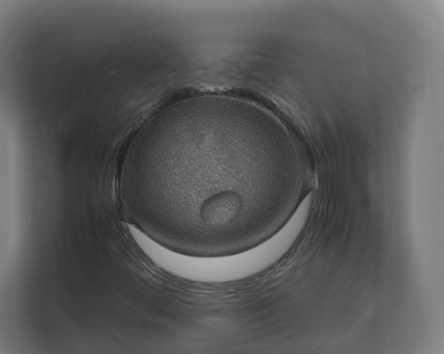 X0000112151444200908211404