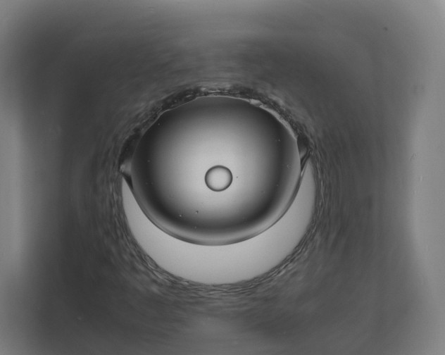 X0000112151445200908211404