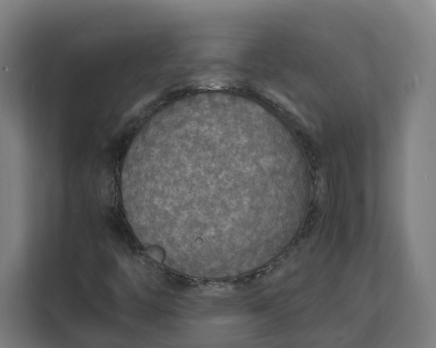 X0000112151446200908211404