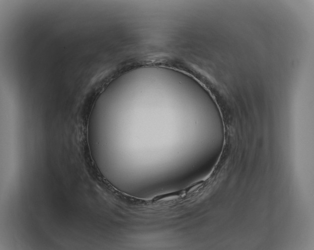X0000112151447200908211404