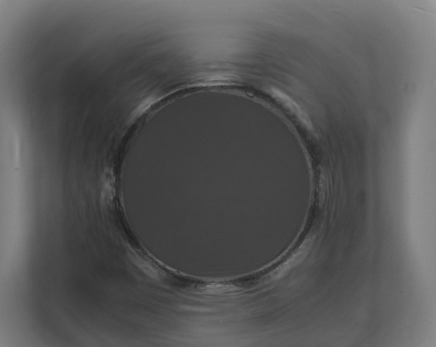 X0000112151449200908211404