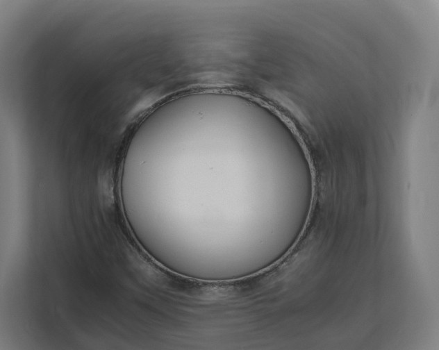 X0000112151451200908211404