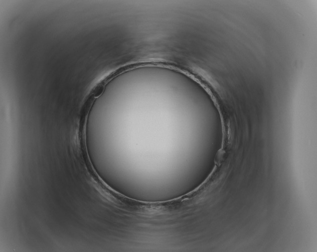 X0000112151452200908211404