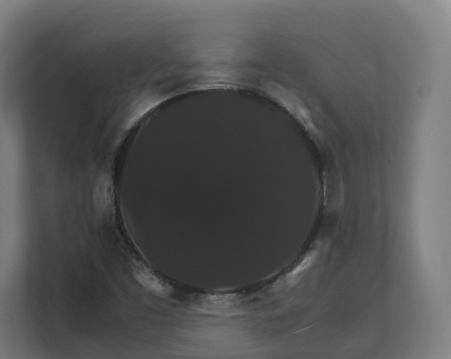 X0000112151453200908211404