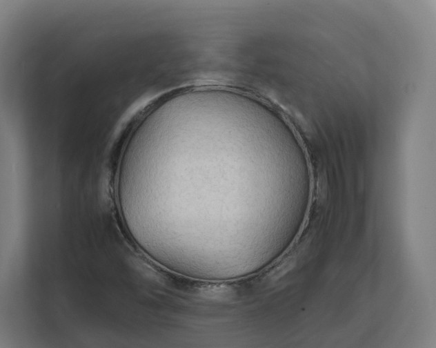 X0000112151454200908211404
