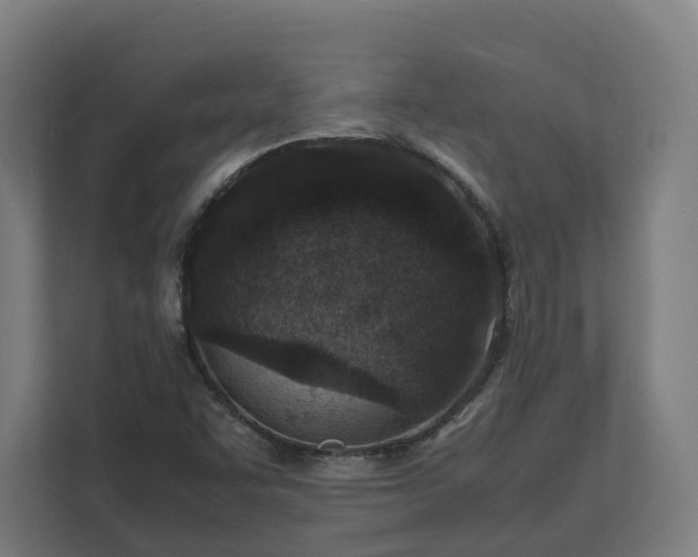 X0000112151455200908211404