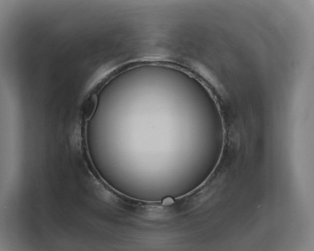 X0000112151456200908211404
