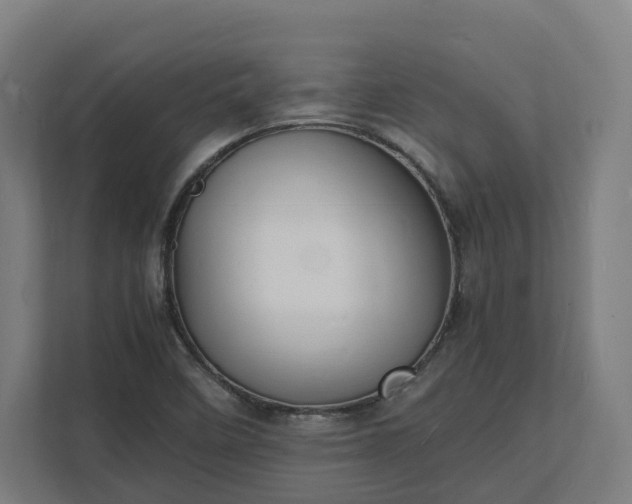 X0000112151458200908211404