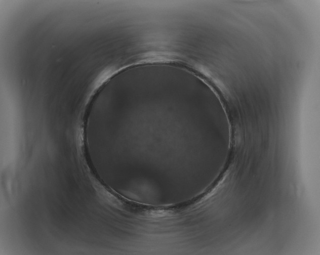 X0000112151459200908211404