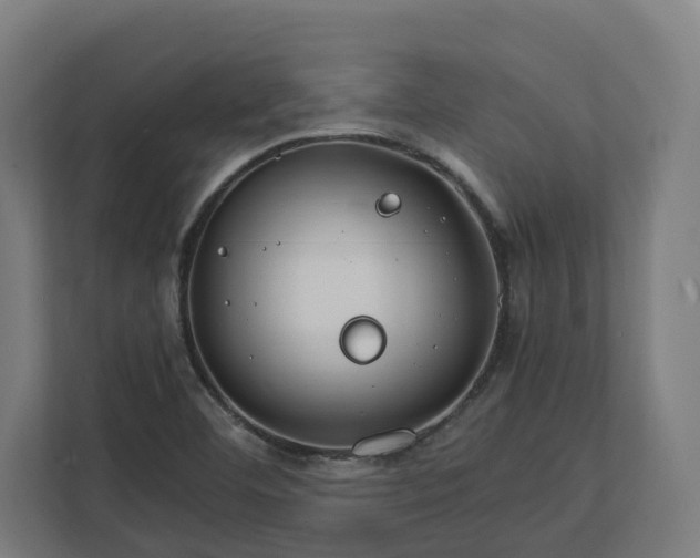 X0000112151460200908211404