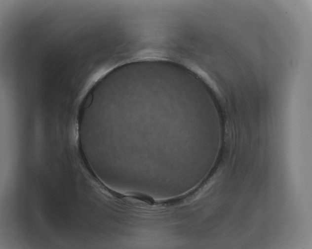 X0000112151461200908211404