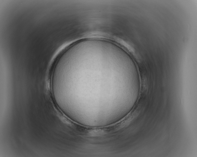 X0000112151462200908211404