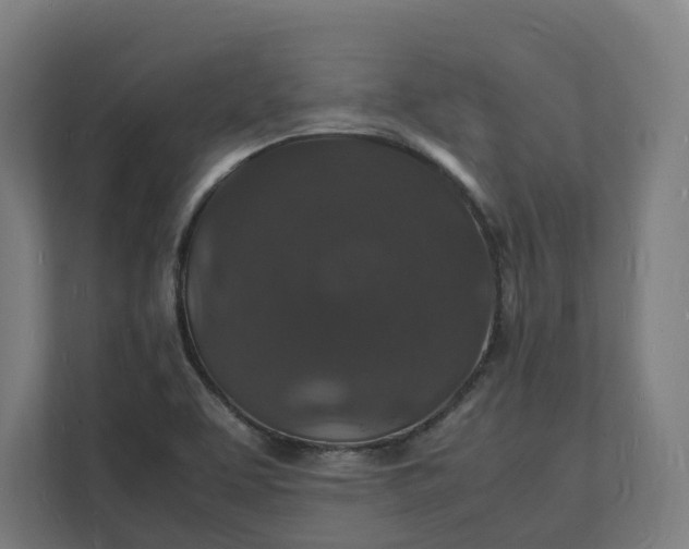 X0000112151463200908211404