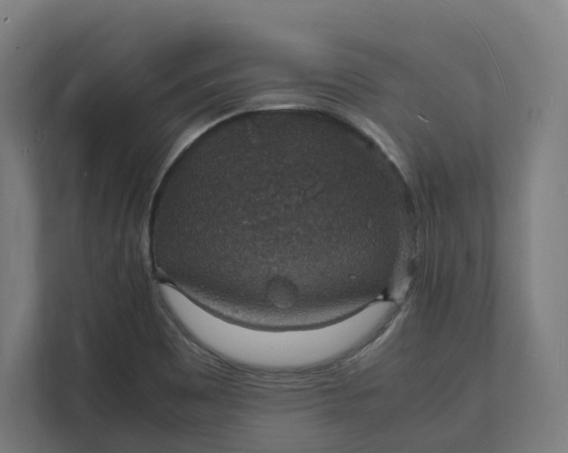 X0000112151465200908211404
