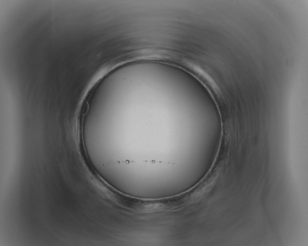 X0000112151467200908211403