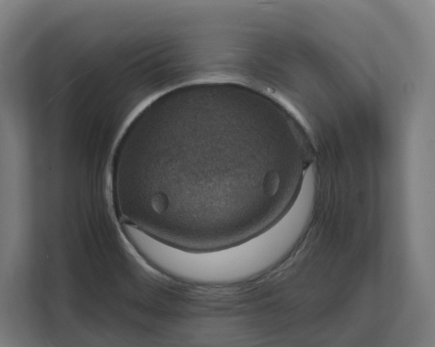 X0000112151468200908211403