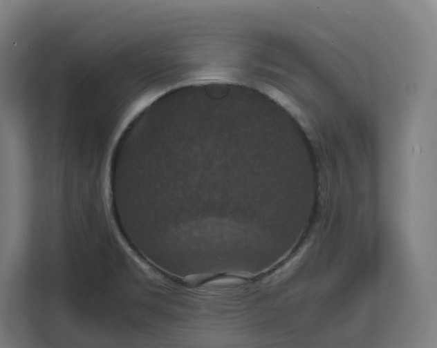 X0000112151469200908211403