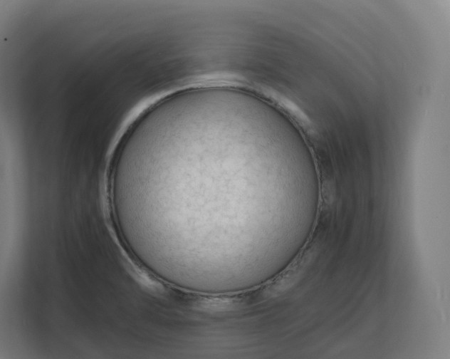 X0000112151470200908211403