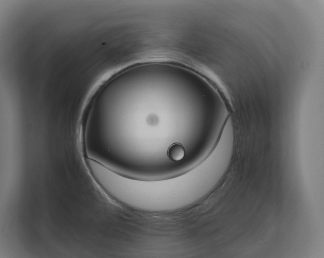 X0000112151472200908211403