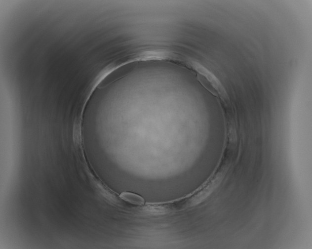 X0000112151473200908211403